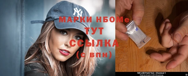 стаф Каменногорск