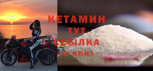 стаф Каменногорск
