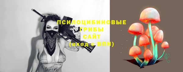 стаф Каменногорск