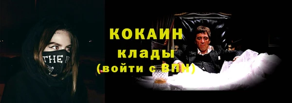 стаф Каменногорск