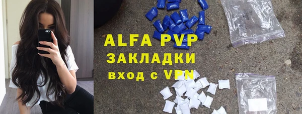 стаф Каменногорск