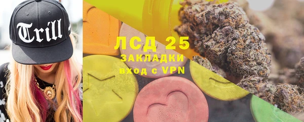 стаф Каменногорск