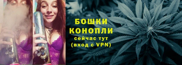 стаф Каменногорск