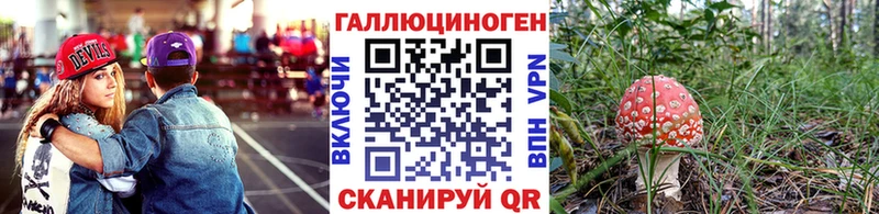 Псилоцибиновые грибы Cubensis  Купить закладки  Топки 