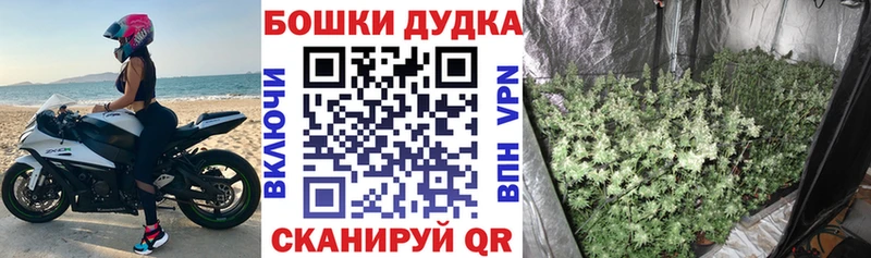 Купить где  Топки  Бошки Шишки ГИДРОПОН 